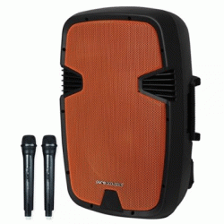 בידוריות ורמקולי בלוטוס