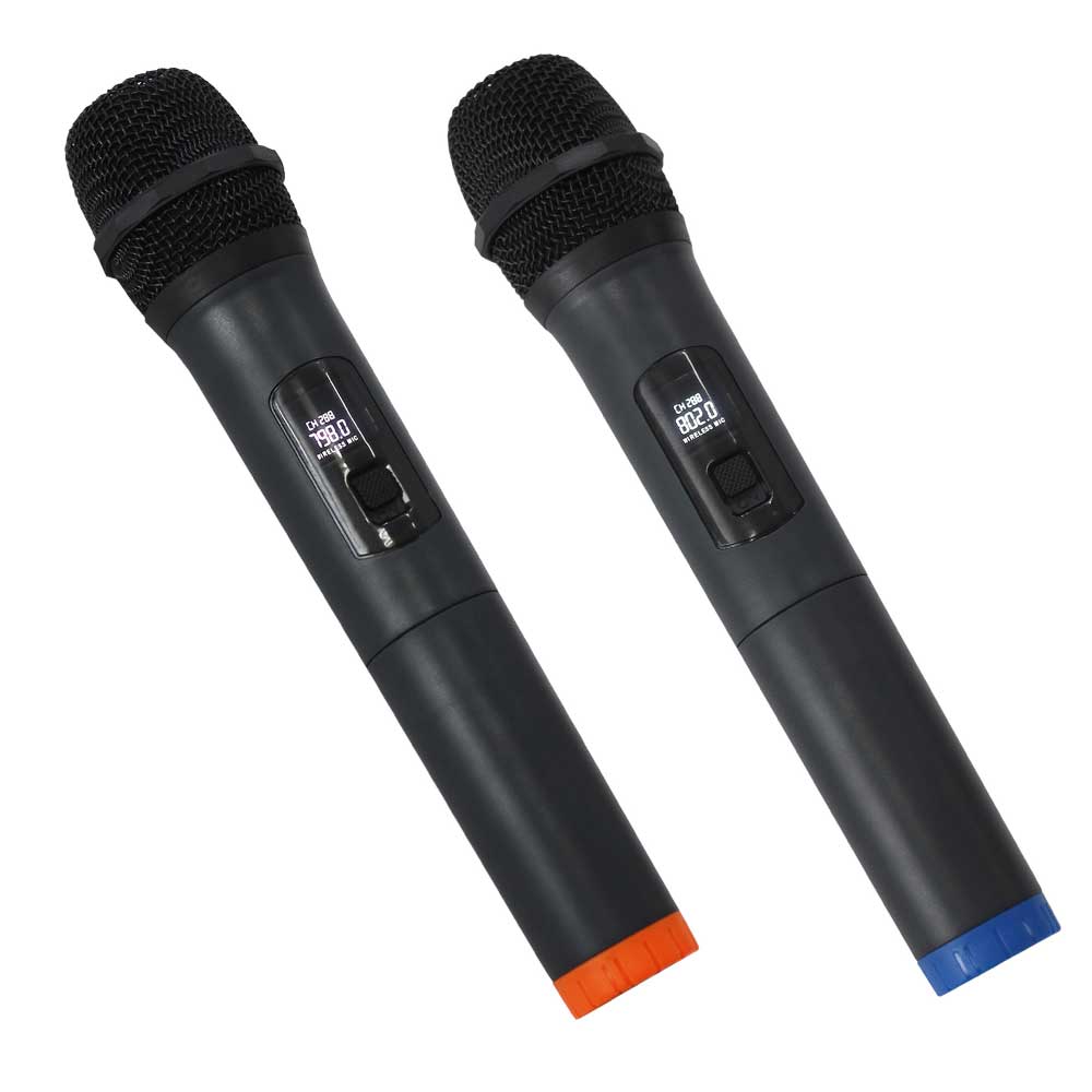 בידורית דאבל "10 Apextone D10