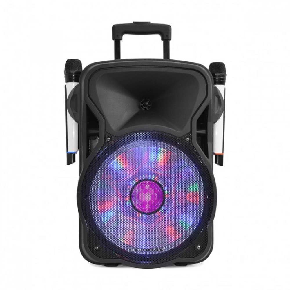 בידורית 15" Pure Acoustics LX-500