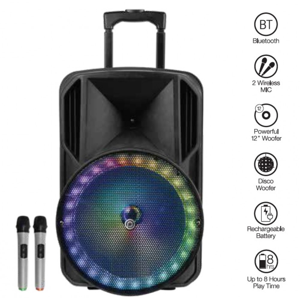 בידורית 12" Pure Acoustics ZX-200